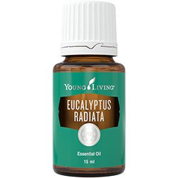 Eucalyptus radiata Oil