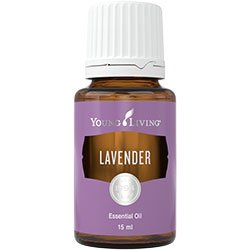 Lavender Oil