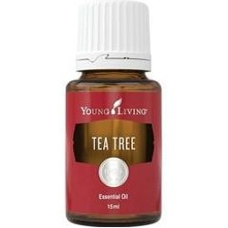 Tea Tree Oil